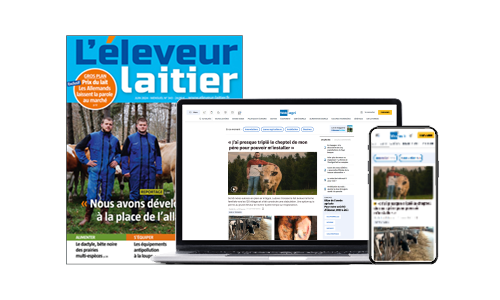 pack site + couv marques NGPA pour page univers et titre WA-EL.png