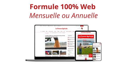 100%WEb_Mensuelle_Annuelle_LFA.png