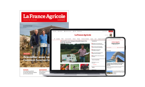 pack site + couv marques NGPA FA.png