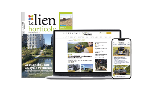 Formule Intégrale LH.png