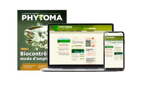 pack-site-+-couv-marques-NGPA-PHYTO.png
